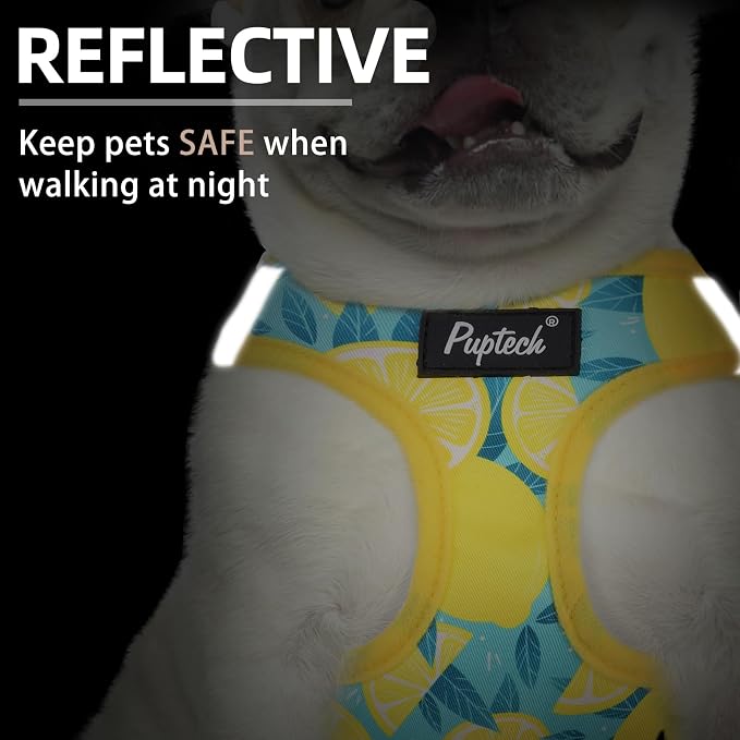 PUPTECK Dog Harness and Leash Set - Image 4