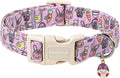 Lionet Paws Easter Dog Collar- Cute Easter Egger Bunny Purple Dogs Collars by lionetpaws