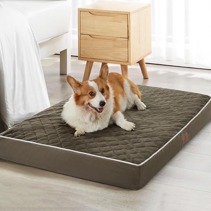 WNPETHOME Orthopedic Big Dog Beds Large Sized Dog, Waterproof Extra Large Dogs by WNPETHOMEPETSHOME