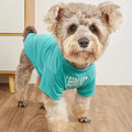 Cute Dog Clothes, T Shirt for Medium and Small Dogs Girl Boy, Puppy.Breathable by HipGirl