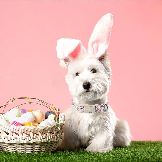 Lionet Paws Easter Dog Collar- Cute Rabbit Purple Eggs Pink Dog Collars - Image 2