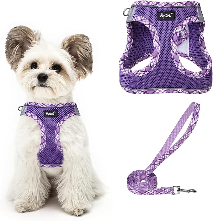 PUPTECK Dog Harness and Leash Set by PUPTECK