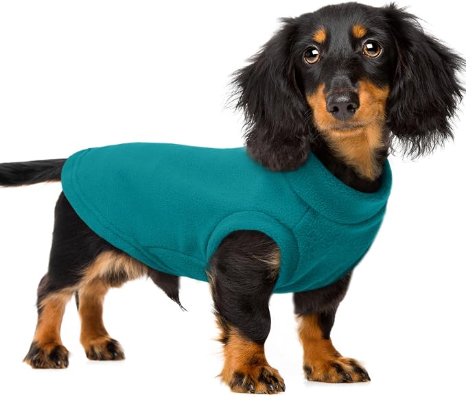 PUMYPOREITY Fleece Sphynx Cat Clothes, Warm Thick Cat Sweater, Soft Winter Coat by PUMYPOREITY