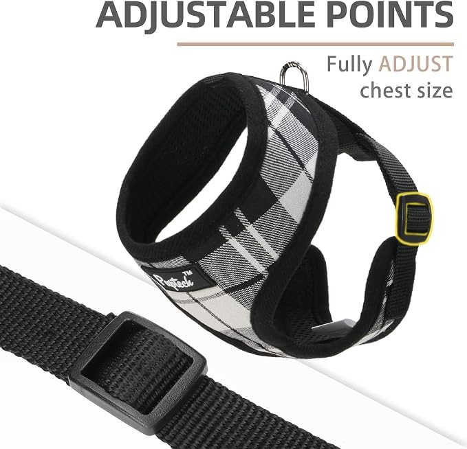 PUPTECK Soft Mesh Dog Harness and Leash Set Pet Puppy Cat Comfort Padded Vest - Image 3