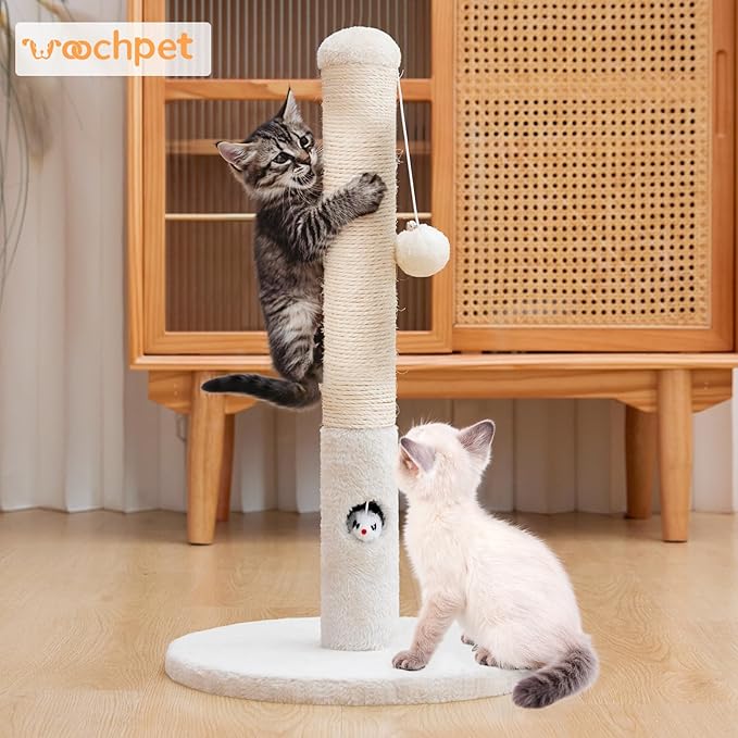Cat Scratching Post for Kitten, 23in Tall Cute Small Cat Scratching Post - Image 6