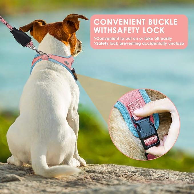 Dog Harness and Leash Set, No Pull Saddle Style Pet Harness, Breathable Mesh - Image 4