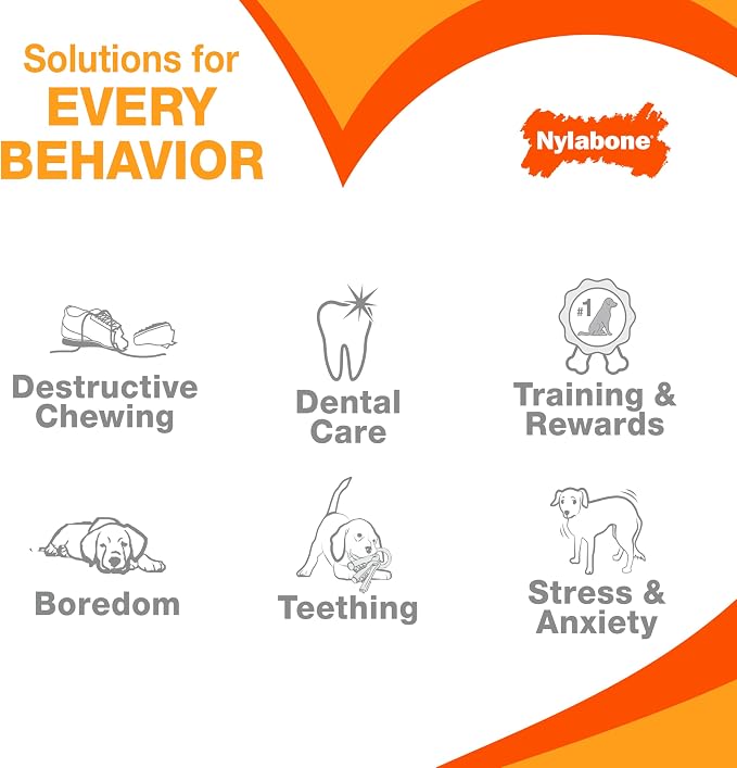 Nylabone Original Bone Power Chew Toy Value Pack - Image 7