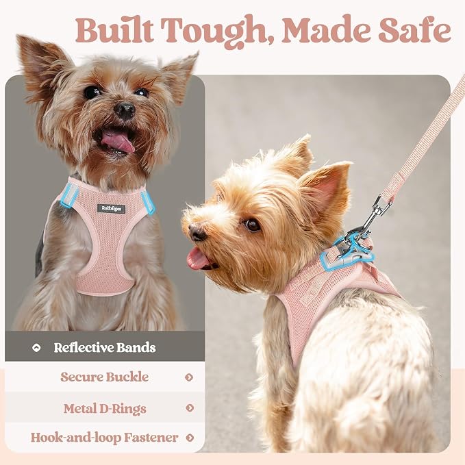 rabbitgoo Dog Harness Small Medium Sized and Leash Set, Step in Soft Light - Image 7