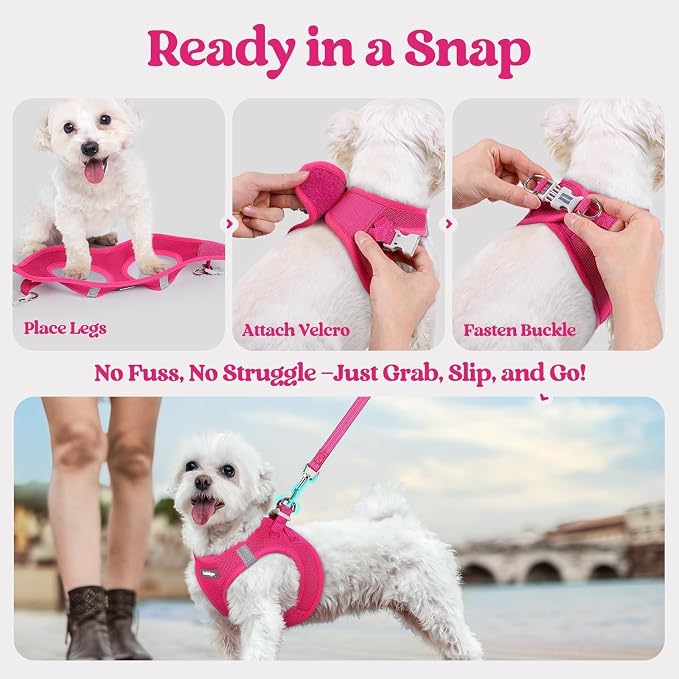rabbitgoo Dog Harness Small Sized and Leash Set, Step in Soft Light Puppy Vest - Image 8