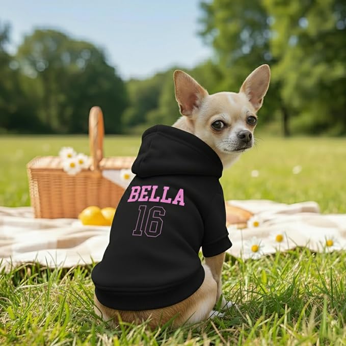 Personalized Name Dog Hoodie, Printed/Embroidered Puppy Sweater - Image 3