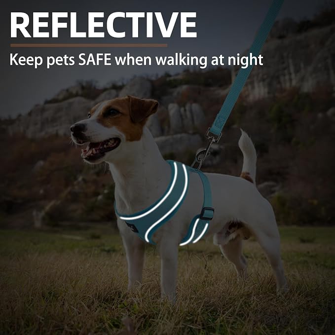 PUPTECK Soft Mesh Dog Harness and Leash Set Pet Puppy Cat Comfort Padded Vest - Image 6