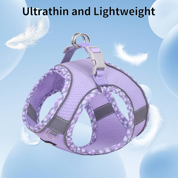 AIITLE Small Dog Harness - Image 4