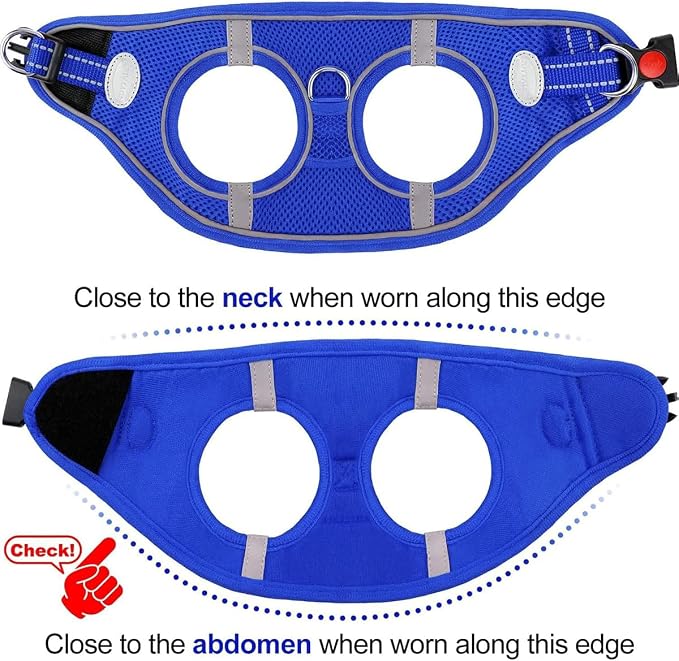Joytale Small Dog Harness, Breathable Mesh Step-in Vest, Reflective Soft Padded - Image 6