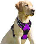 BARKBAY No Pull Dog Harness Front Clip Heavy Duty Reflective Easy Control Handle by BARKBAY