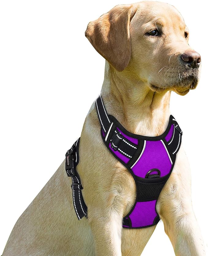 BARKBAY No Pull Dog Harness Front Clip Heavy Duty Reflective Easy Control Handle by BARKBAY