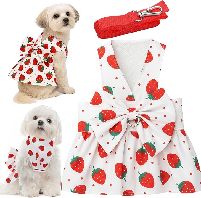 Dog Dress Bowknot Harness Leash Set by LAPOHI