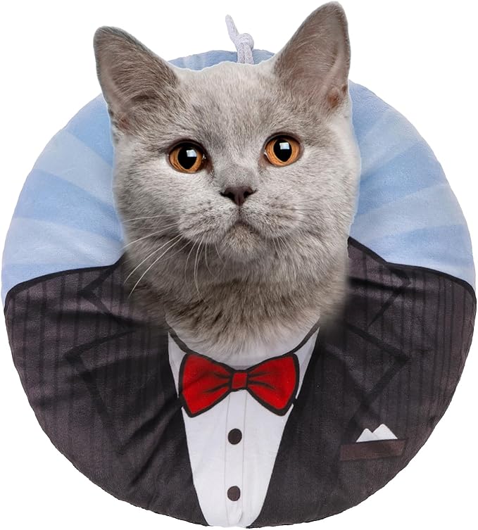 BEAUTYZOO Cat Cone Collar Soft, Cat Recovery E Collars After Surgery to Stop by BEAUTYZOO