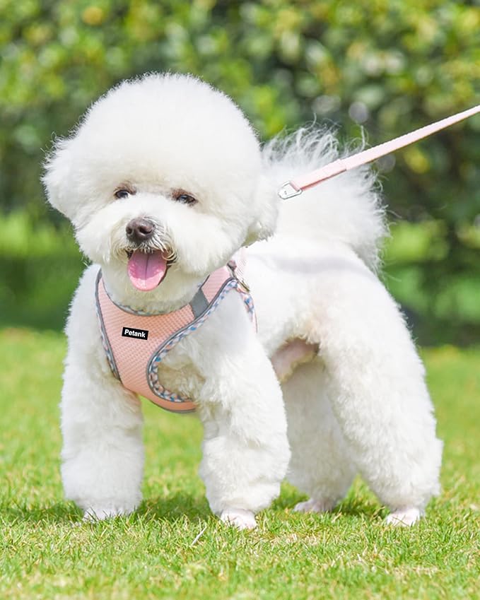 Petank Dog Harness for Small Medium Dogs No Pull, Puppy Harness and Leash Set - Image 2