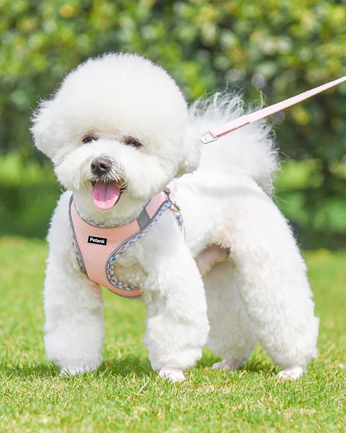 Petank Dog Harness for Small Medium Dogs No Pull, Puppy Harness and Leash Set - Image 2