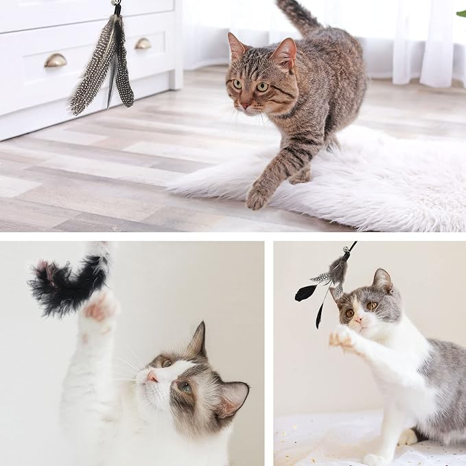 SONGWAY Interactive Cat Feather Toy Set - Image 5