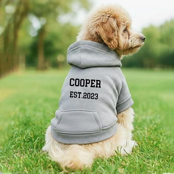 Personalized Dog Hoodie, Custom Embroidered/Printed Name Pet Hoodie, Warm - Image 2
