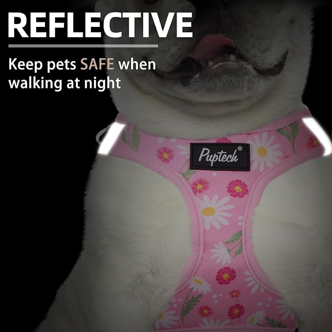 PUPTECK Dog Harness and Leash Set - Image 4