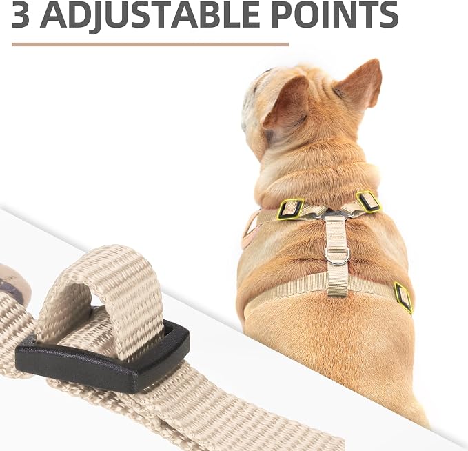 PUPTECK Small Dog Harness and Leash Set, No Pull Adjustable Puppy Cat Harness - Image 2