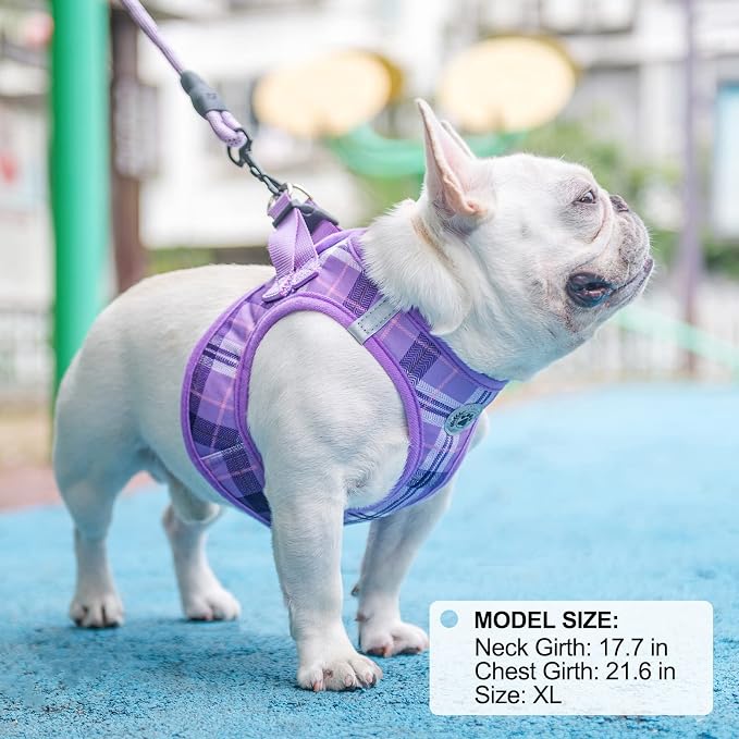 BEAUTYZOO Small Dog Harness and Leash Set, Step in No Choke No Pull Soft Mesh - Image 8