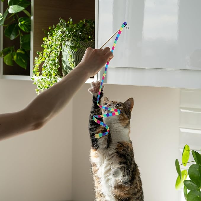 2 Pcs Interactive Cat Rainbow Wand Toys, Cat Teaser Wand and String Toy - Image 7