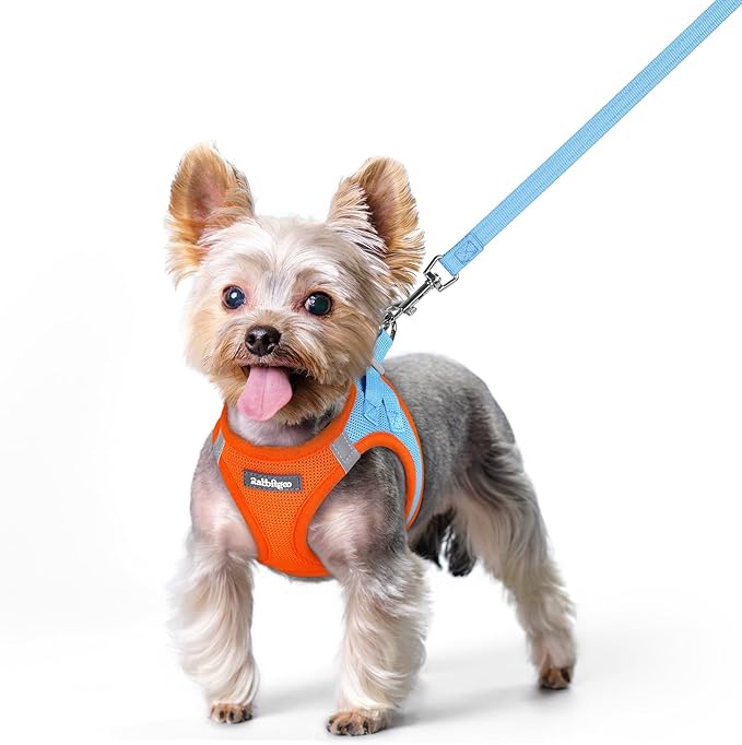 rabbitgoo Dog Harness Small Sized and Leash Set, Step in Soft Light Puppy Vest by rabbitgoo