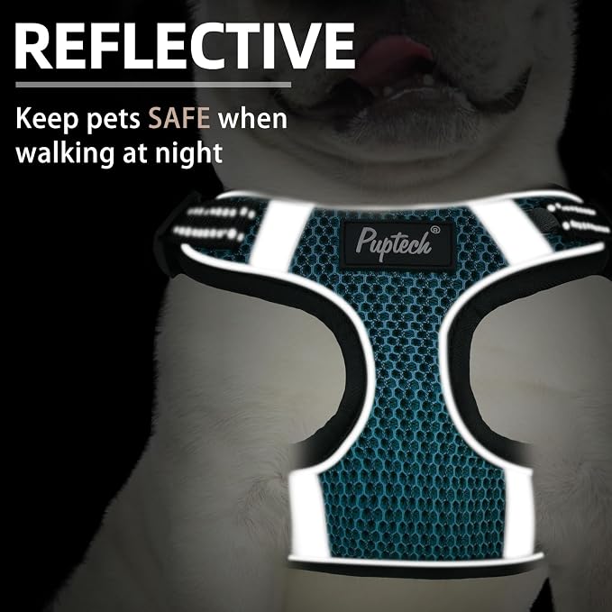 PUPTECK Dog Harness and Leash Set Small Sized, Step in No Pull Adjustable Puppy - Image 4