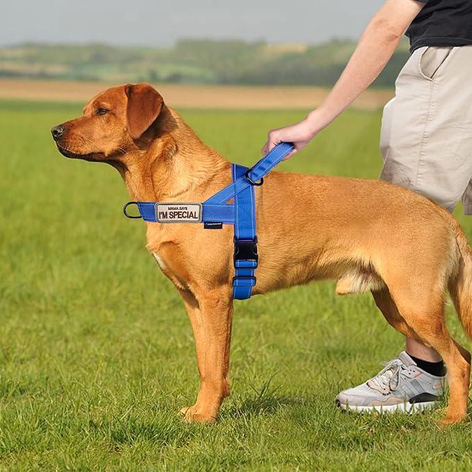 Annchwool No Pull Dog Harness - Image 5
