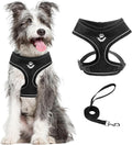 PUPTECK Soft Mesh Dog Harness and Leash Set Pet Puppy Cat Comfort Padded Vest by PUPTECK