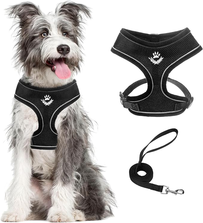 PUPTECK Soft Mesh Dog Harness and Leash Set Pet Puppy Cat Comfort Padded Vest by PUPTECK