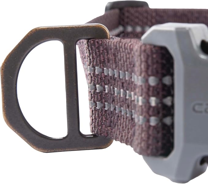 Carhartt Nylon Webbing Dog Collar, Fully Adjustable W/Durable Side Release - Image 5