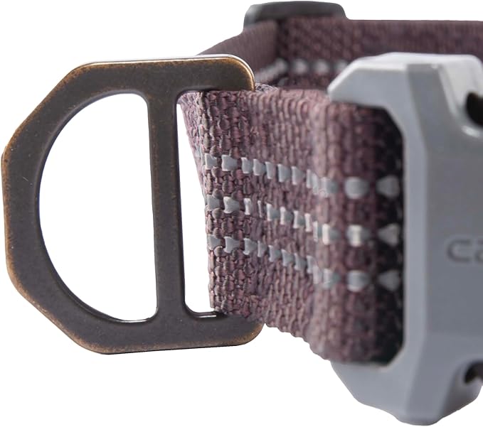 Carhartt Nylon Webbing Dog Collar, Fully Adjustable W/Durable Side Release - Image 5