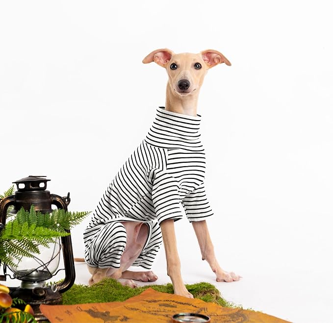 Dog Sweaters for Small Dogs Girls Boys, Striped Pet Sweaters for Fall Winter - Image 3