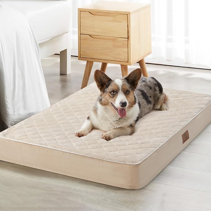 WNPETHOME Orthopedic Big Dog Beds Large Sized Dog, Waterproof Extra Large Dogs by WNPETHOMEPETSHOME
