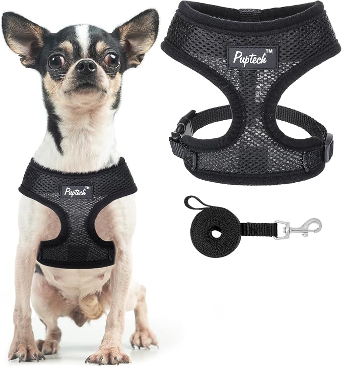 PUPTECK Soft Mesh Dog Harness and Leash Set Pet Puppy Cat Comfort Padded Vest by PUPTECK