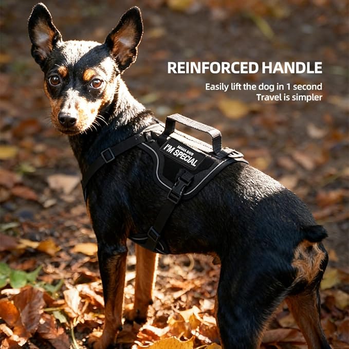 Tactical Dog Harness and Leash Set - Image 7