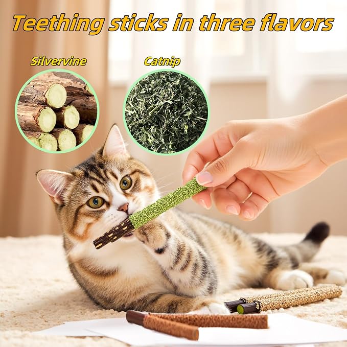 Cat Toys 12Pack Silvervine Chew Stick 12Pack Kitten Treat Catnip Toy Kitty - Image 4