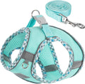 Dog Harness and Leash Set, No Pull Pet Harness by TomteNisse