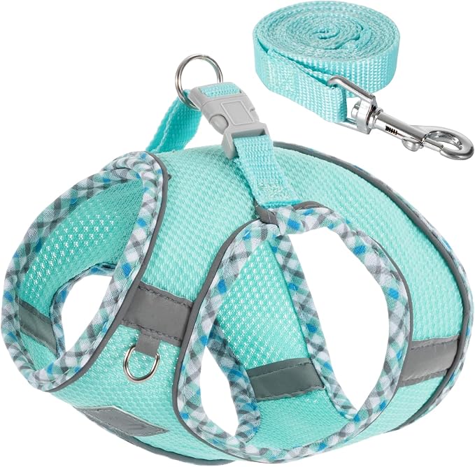 Dog Harness and Leash Set, No Pull Pet Harness by TomteNisse