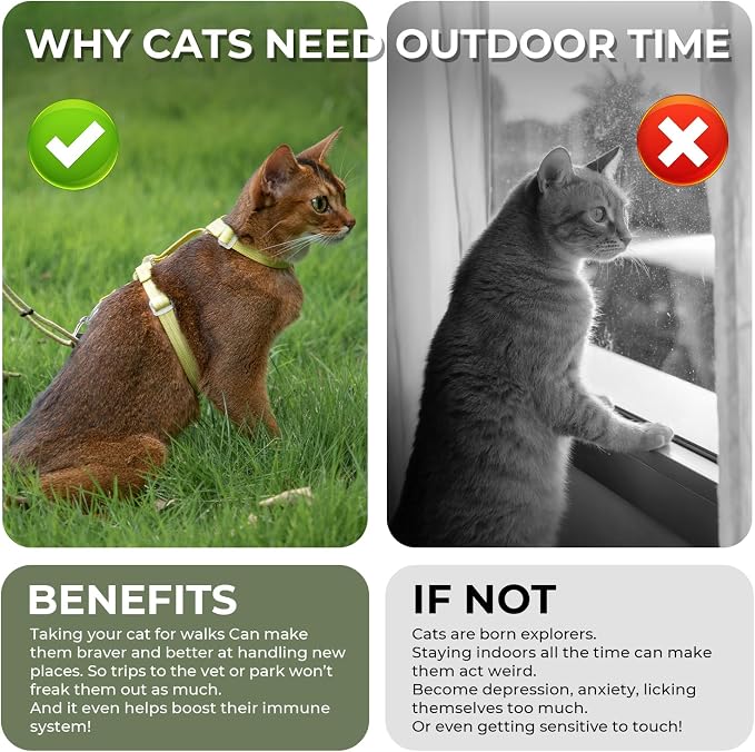 Cat Harness and Leash Set - Image 7