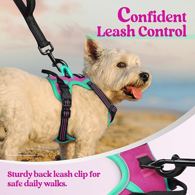 rabbitgoo Dog Harness No Pull - Image 6
