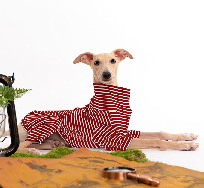 Dog Sweaters for Small Dogs Girls Boys, Striped Pet Sweaters for Fall Winter - Image 4
