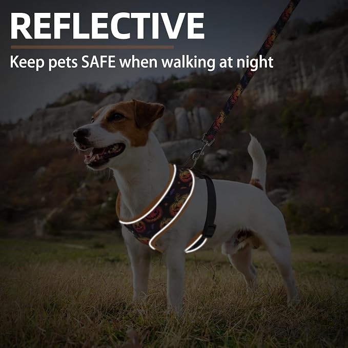 PUPTECK Soft Mesh Dog Harness and Leash Set Pet Puppy Cat Comfort Padded Vest - Image 6