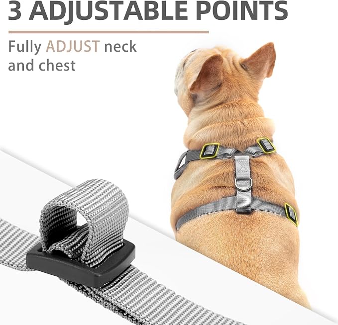 PUPTECK Small Dog Harness and Leash Set, No Pull Adjustable Puppy Cat Harness - Image 2