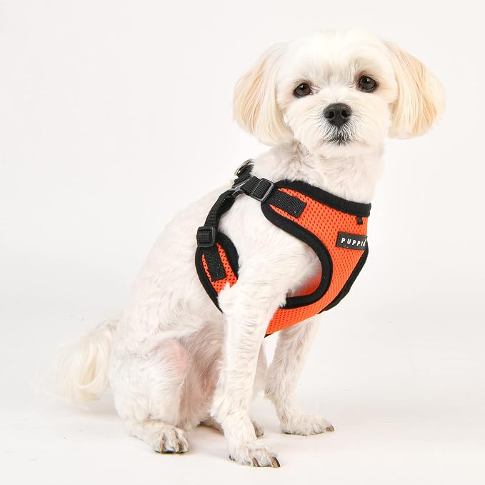 Puppia Dog Harness Comfort Mesh Step-in All Season No Pull No Choke Walking - Image 4