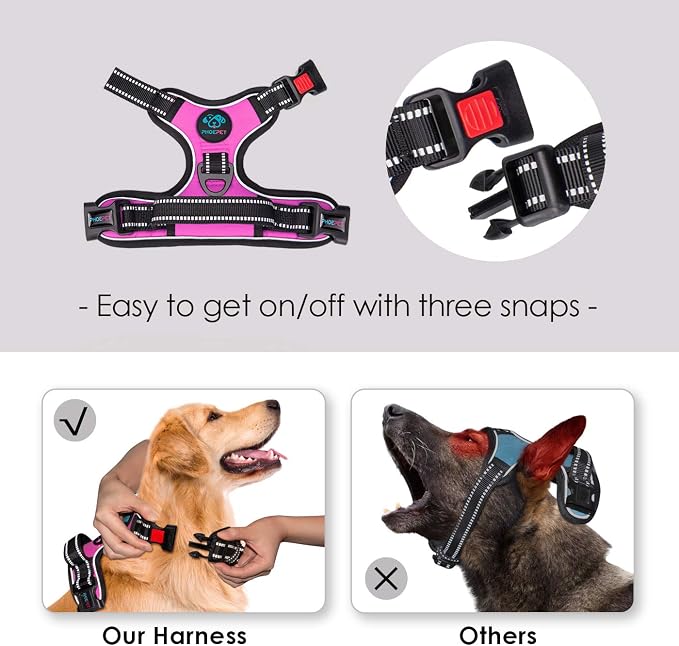 PHOEPET No Pull Dog Harnesses for Small Dogs Reflective Adjustable Front Clip - Image 3